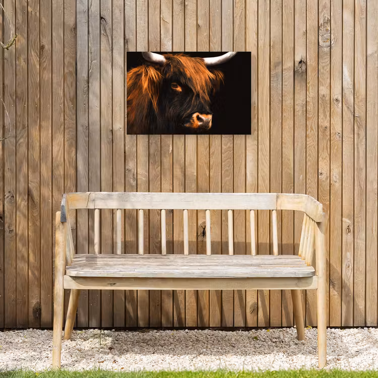 Schotse hooglander - Zwart - Koe - Hoorn - Dieren Tuinposter op houten frame 2 cm dik klein -sfeer4