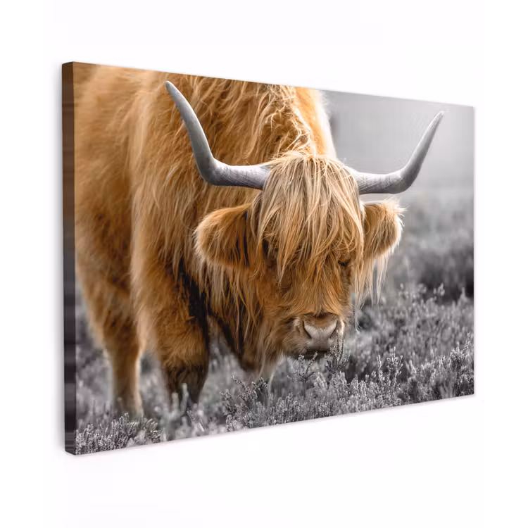 Schotse Hooglander - Dieren - Bruin - Koe - Zwart - Wit - Natuur Tuinposter op houten frame 2 cm dik klein -3d