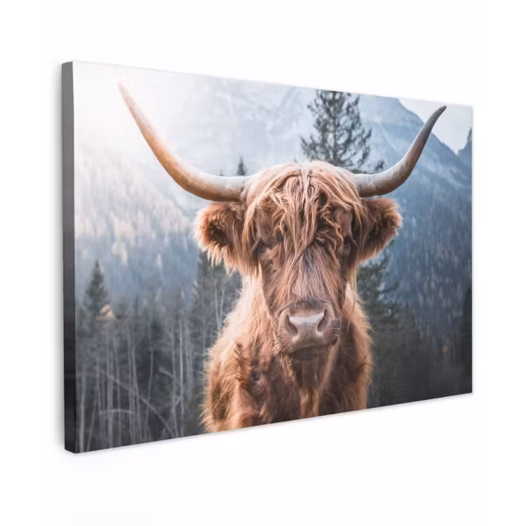 Schotse hooglander - Koe - Dieren - Berg - Natuur Tuinposter op houten frame 2 cm dik klein -3d