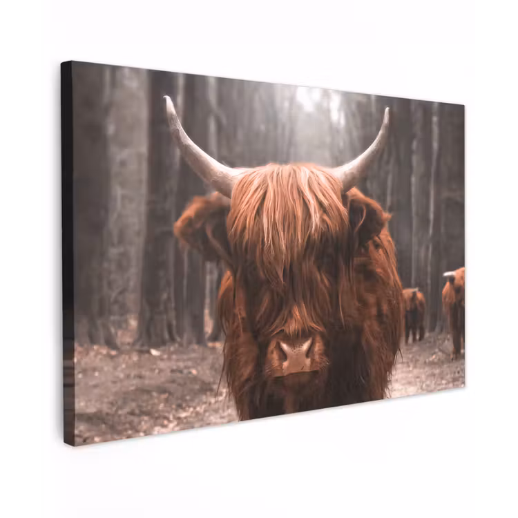 Schotse hooglander - Bos - Koe - Dieren - Natuur Tuinposter op houten frame 2 cm dik klein -3d