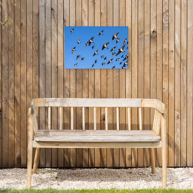 Zwaluwen - Vliegen - Blauw Tuinposter op houten frame 2 cm dik klein -sfeer4