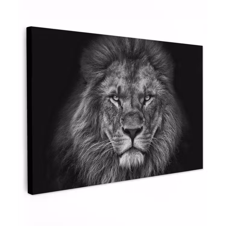 Zwart-wit portret van een leeuw Tuinposter op houten frame 2 cm dik klein -3d