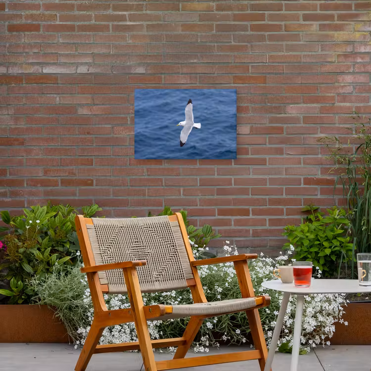 Zeemeeuw - Oceaan - Blauw Tuinposter op houten frame 2 cm dik klein -sfeer3