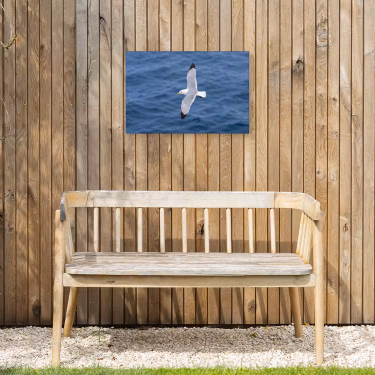 Zeemeeuw - Oceaan - Blauw Tuinposter op houten frame 2 cm dik klein -sfeer4
