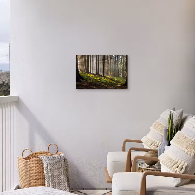 Zon - Takken - Bomen - Bos - Natuur Tuinposter op houten frame 2 cm dik klein -sfeer1
