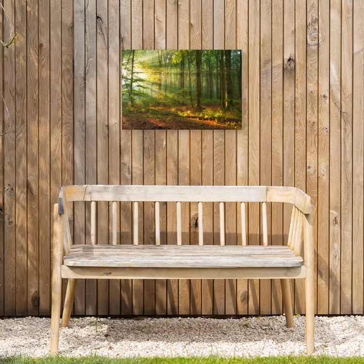 Zon - Bos - Bomen - Natuur - Herfst Tuinposter op houten frame 2 cm dik klein -sfeer4