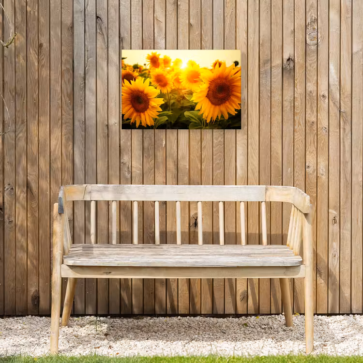 Zonnebloemen in het zonlicht Tuinposter op houten frame 2 cm dik klein -sfeer4