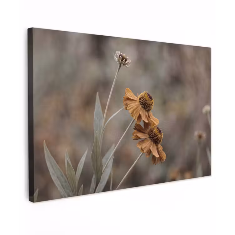 Zonnehoed - Droogbloemen - Geel - Warm Tuinposter op houten frame 2 cm dik klein -3d