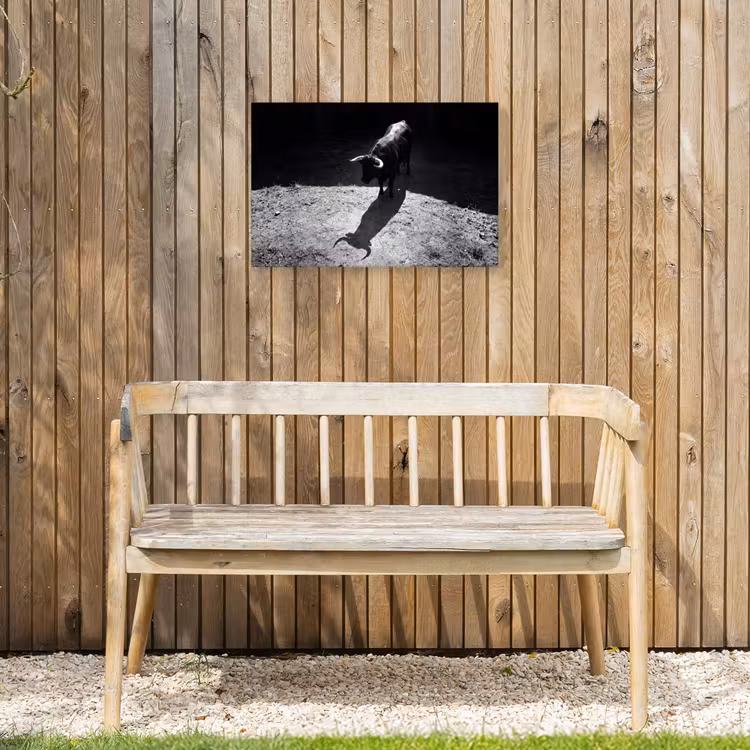 Stier - Schaduw - Dieren - Contrast - Zwart-wit Tuinposter op houten frame 2 cm dik klein -sfeer4