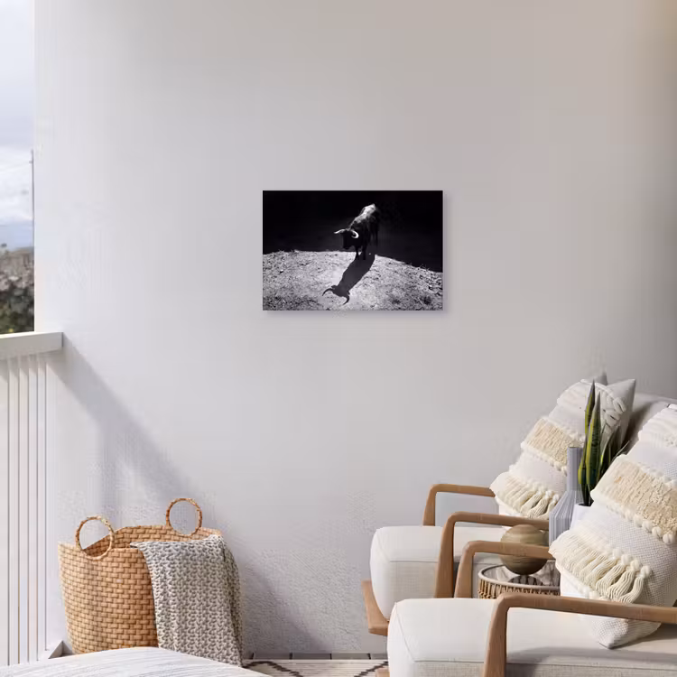 Stier - Schaduw - Dieren - Contrast - Zwart-wit Tuinposter op houten frame 2 cm dik klein -sfeer1