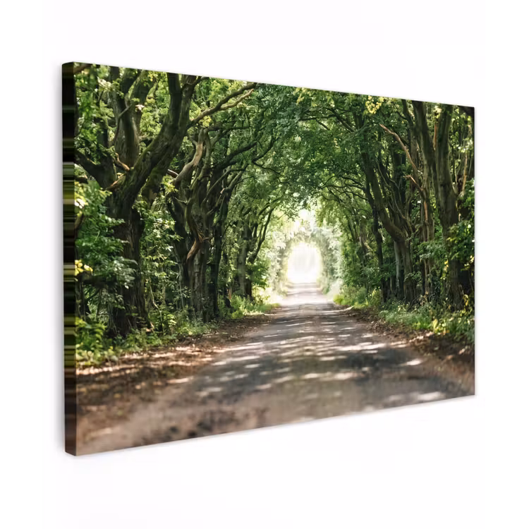 Weg - Bomen - Natuur - Groen Tuinposter op houten frame 2 cm dik klein -3d