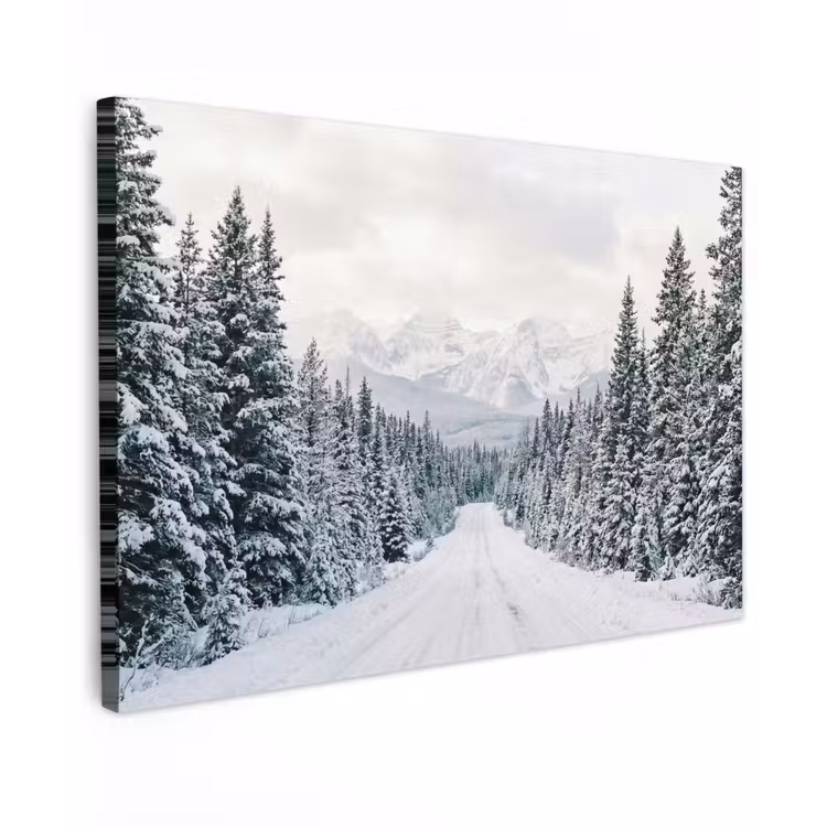 Weg - Sneeuw - Naaldbos - Winter - Avontuurlijk Tuinposter op houten frame 2 cm dik klein -3d