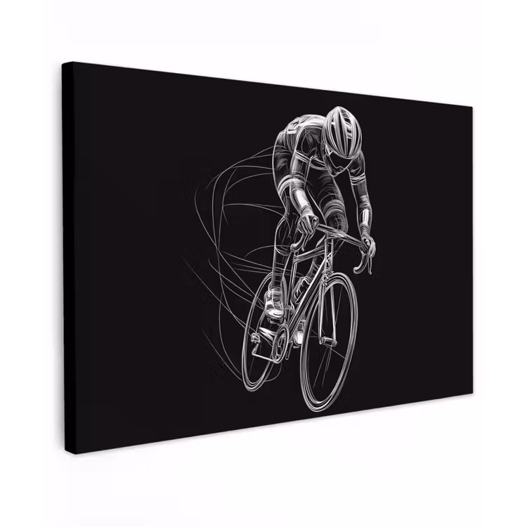 Lijntekening - Wit - Wielrennen - Snelheid Tuinposter op houten frame 2 cm dik klein -3d