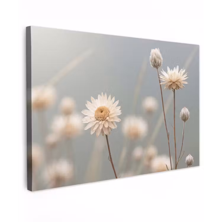 Strobloemen - Wit - Daglicht Tuinposter op houten frame 2 cm dik klein -3d