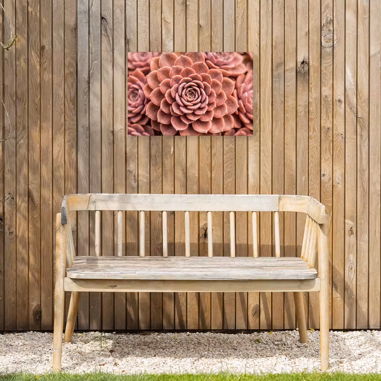 Vetplant - Organisch - Roze Tuinposter op houten frame 2 cm dik klein -sfeer4