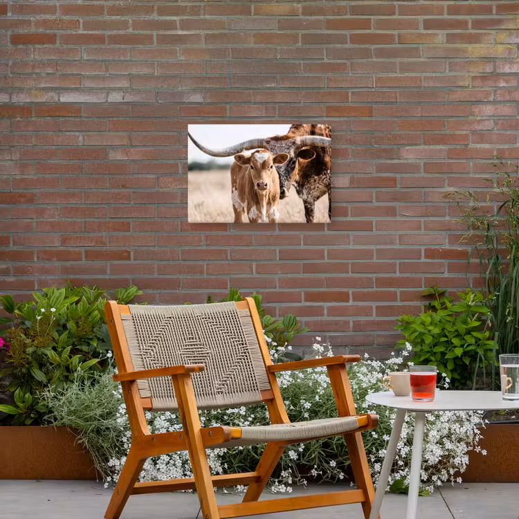 Texas Longhorn - Kalf - Weide - Dieren Tuinposter op houten frame 2 cm dik klein -sfeer3