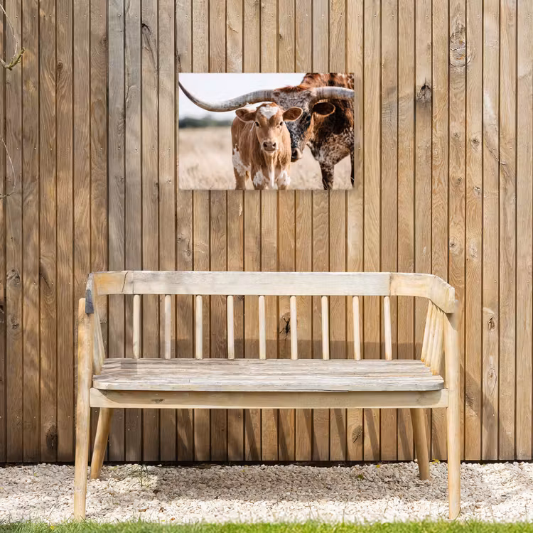 Texas Longhorn - Kalf - Weide - Dieren Tuinposter op houten frame 2 cm dik klein -sfeer4