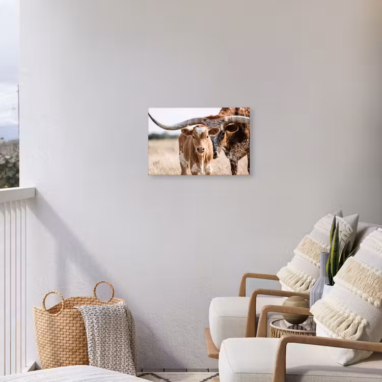 Texas Longhorn - Kalf - Weide - Dieren Tuinposter op houten frame 2 cm dik klein -sfeer1