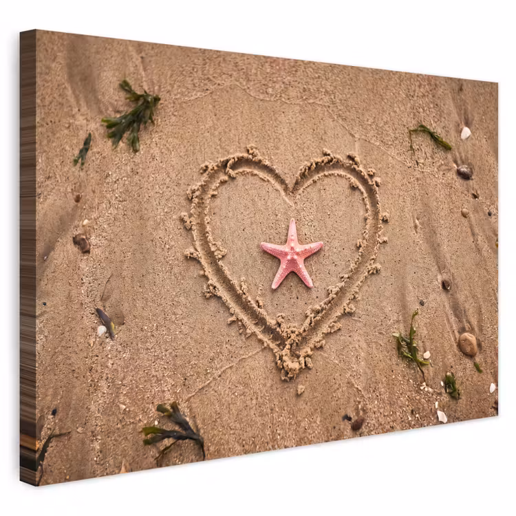 Dieren - Hart - Strand - Zand - Roze Tuinposter op houten frame 2 cm dik klein -3d