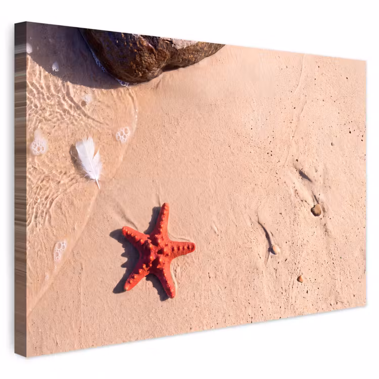 Dieren - Strand - Zee - Natuur - Rood Tuinposter op houten frame 2 cm dik klein -3d
