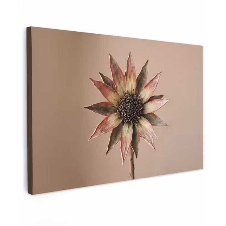 Droogbloem - Protea - Vintage - Beige - Rustiek Tuinposter op houten frame 2 cm dik klein -3d