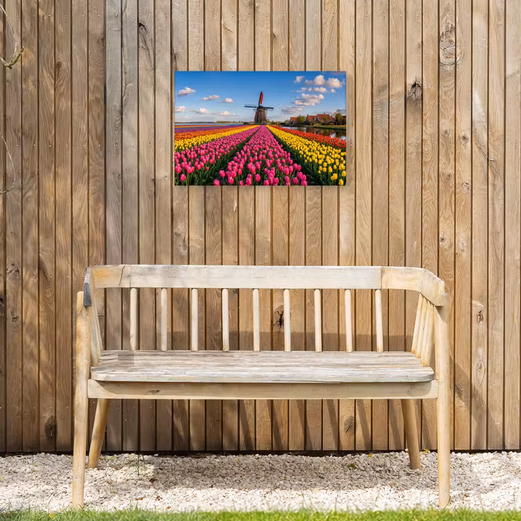 Tulpen - Holland - Molen - Kleurrijk Tuinposter op houten frame 2 cm dik klein -sfeer4