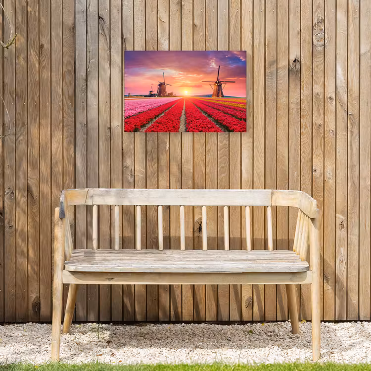 Tulpenvelden met windmolens bij zonsondergang Tuinposter op houten frame 2 cm dik klein -sfeer4