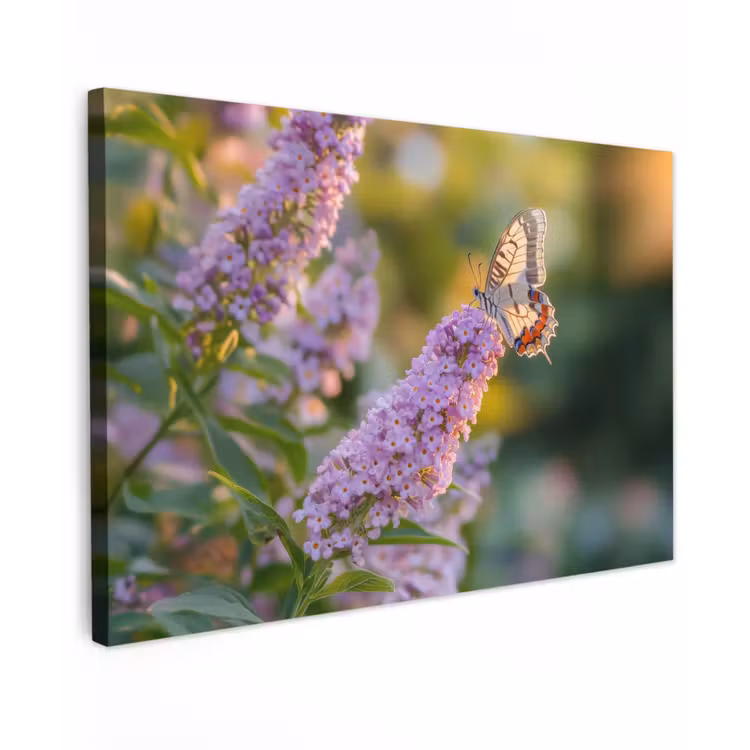 Sierlijke - Vlinder - Paarse - Bloemen Tuinposter op houten frame 2 cm dik klein -3d