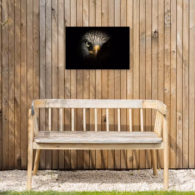 Vogel - Adelaar - Roofvogels - Oog - Snavel - Licht Tuinposter op houten frame 2 cm dik klein -sfeer4