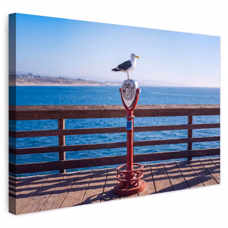 Vogel - Verrekijker - Kust - Zee - Blauw Tuinposter op houten frame 2 cm dik klein -3d