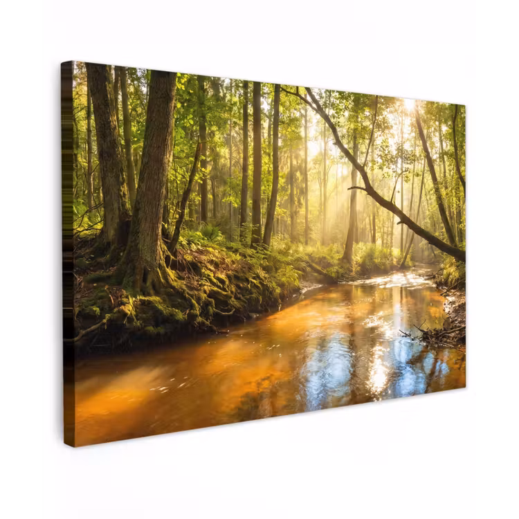 Bos - Beek - Zonlicht - Natuur - Groen Tuinposter op houten frame 2 cm dik klein -3d