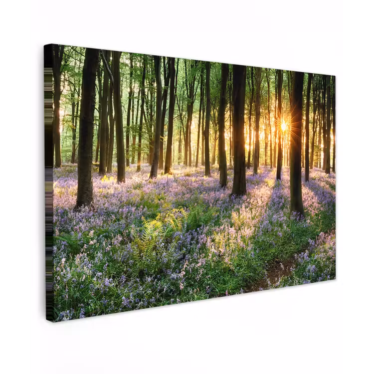 Bos - Bloemen - Lavendel - Zon - Paars - Natuur Tuinposter op houten frame 2 cm dik klein -3d