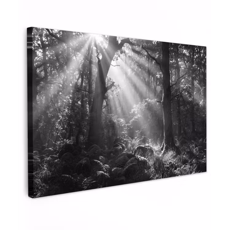Bos - Lichtstralen - Natuur - Zwart-wit Tuinposter op houten frame 2 cm dik klein -3d