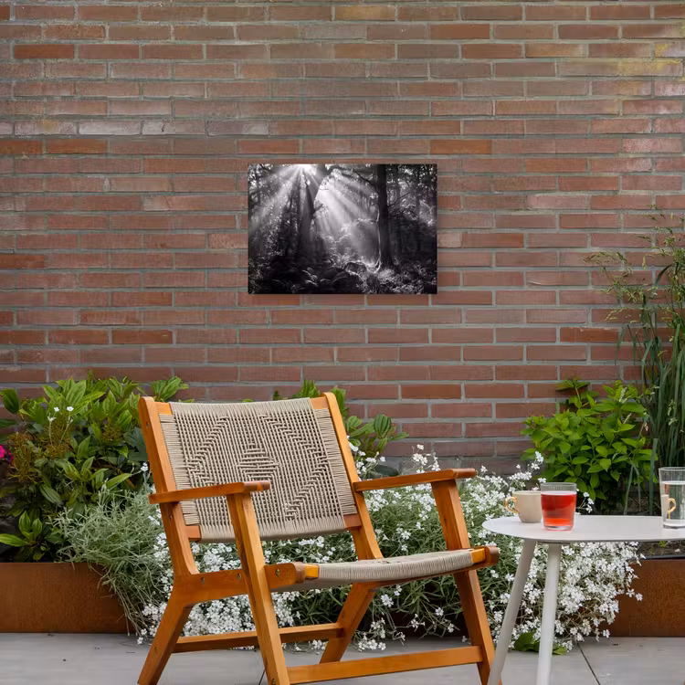 Bos - Lichtstralen - Natuur - Zwart-wit Tuinposter op houten frame 2 cm dik klein -sfeer3