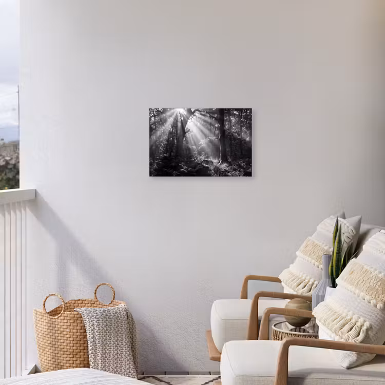 Bos - Lichtstralen - Natuur - Zwart-wit Tuinposter op houten frame 2 cm dik klein -sfeer1