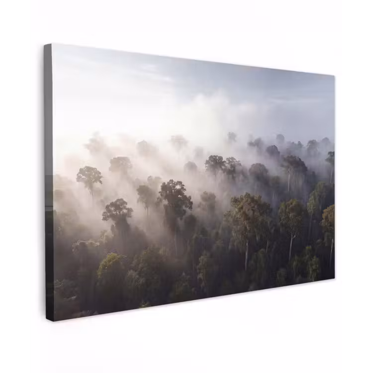 Bos - Mist - Natuur - Groen Tuinposter op houten frame 2 cm dik klein -3d