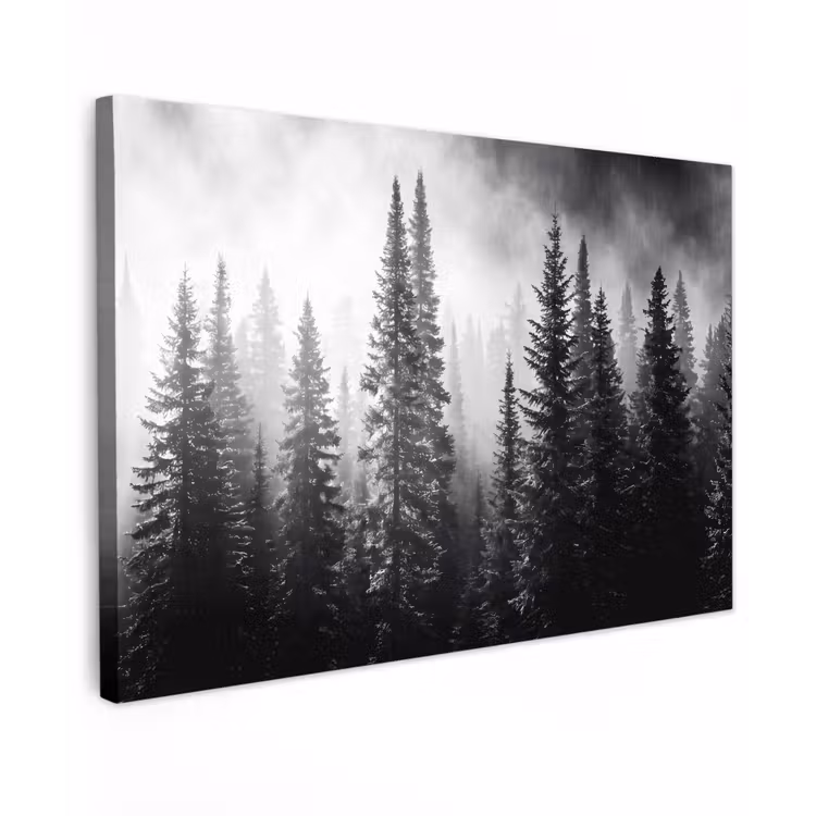 Bos - Mist - Winter - Monochroom - Natuur Tuinposter op houten frame 2 cm dik klein -3d