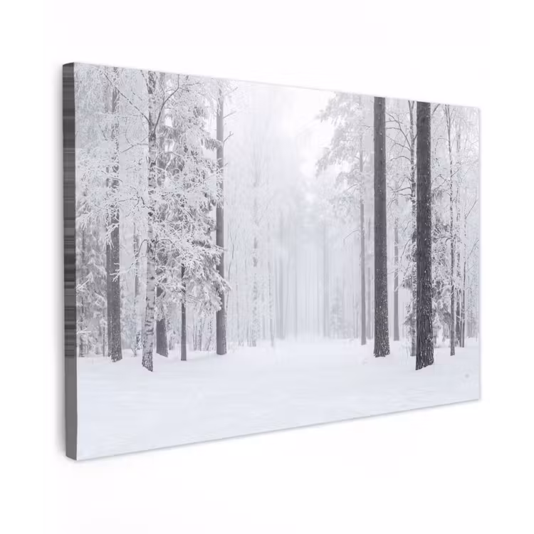 Bos - Sneeuw - Pad - Winter - Stilte Tuinposter op houten frame 2 cm dik klein -3d