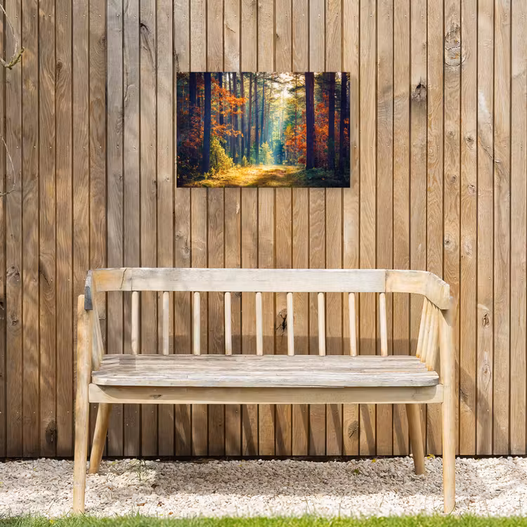 Bos - Zon - Natuur - Herfst Tuinposter op houten frame 2 cm dik klein -sfeer4