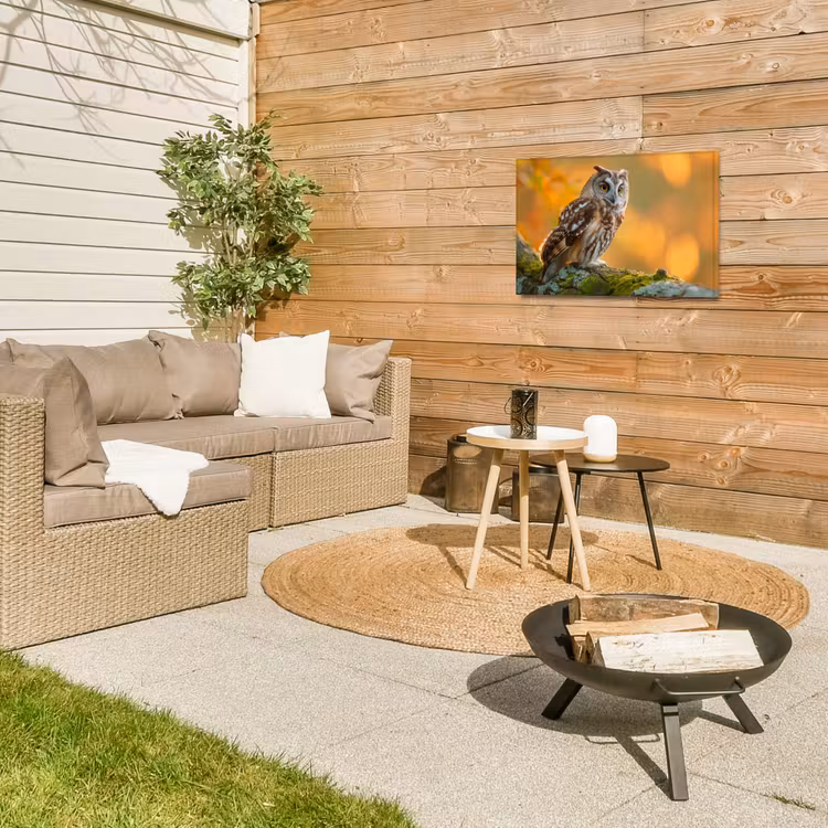 Bosuil op Mosbegroeide Tak Tuinposter op houten frame 2 cm dik klein -sfeer2
