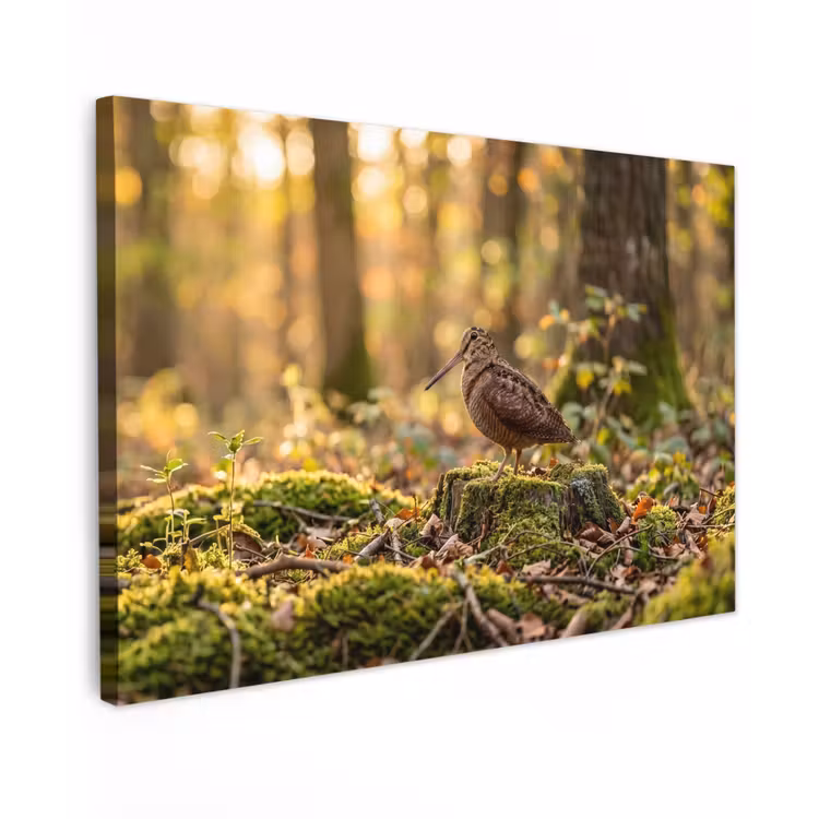 Houtsnip - Bos - Bladeren - Herfst - Gecamoufleerd Tuinposter op houten frame 2 cm dik klein -3d