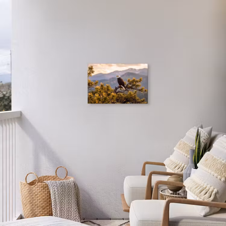 Zeearend - Boom - Bergen - Groen Tuinposter op houten frame 2 cm dik klein -sfeer1