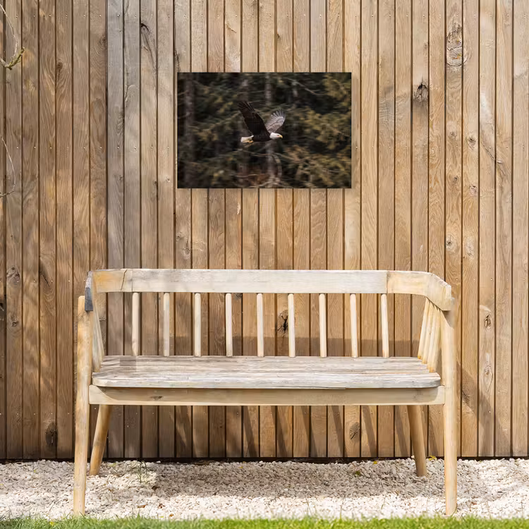 Zeearend - Vliegen - Bos - Natuur Tuinposter op houten frame 2 cm dik klein -sfeer4