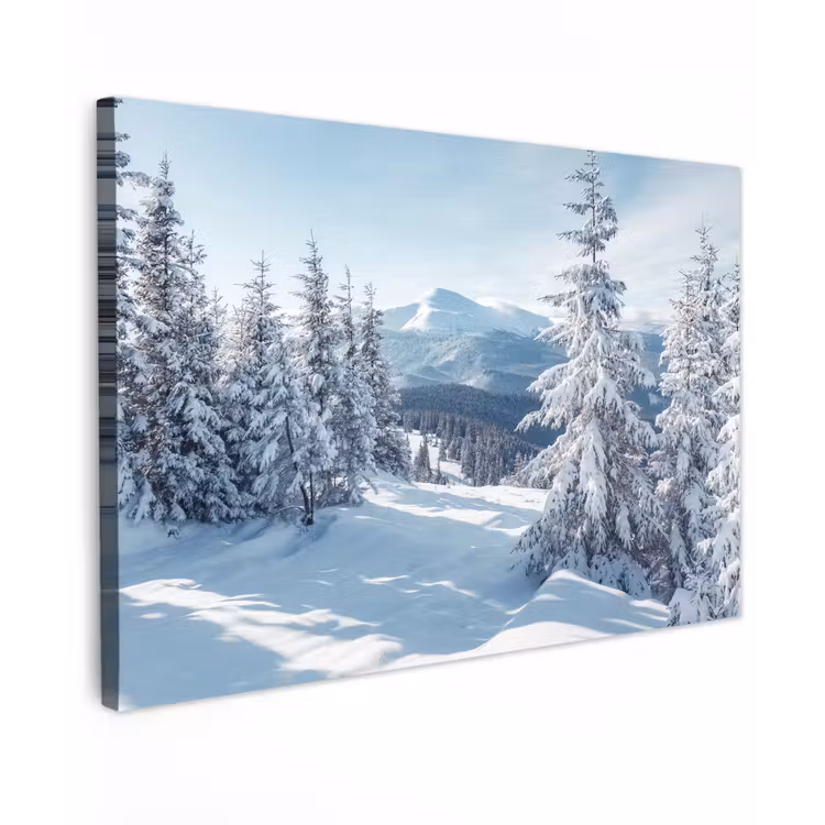 Winterlandschap - Natuur - Berg - Bomen - Sneeuw Tuinposter op houten frame 2 cm dik klein -3d