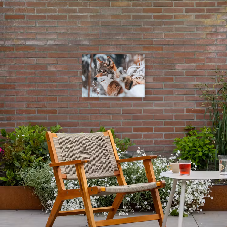 Wolf - Sneeuw - Winter - Dieren - Natuur - Sneeuw Tuinposter op houten frame 2 cm dik klein -sfeer3