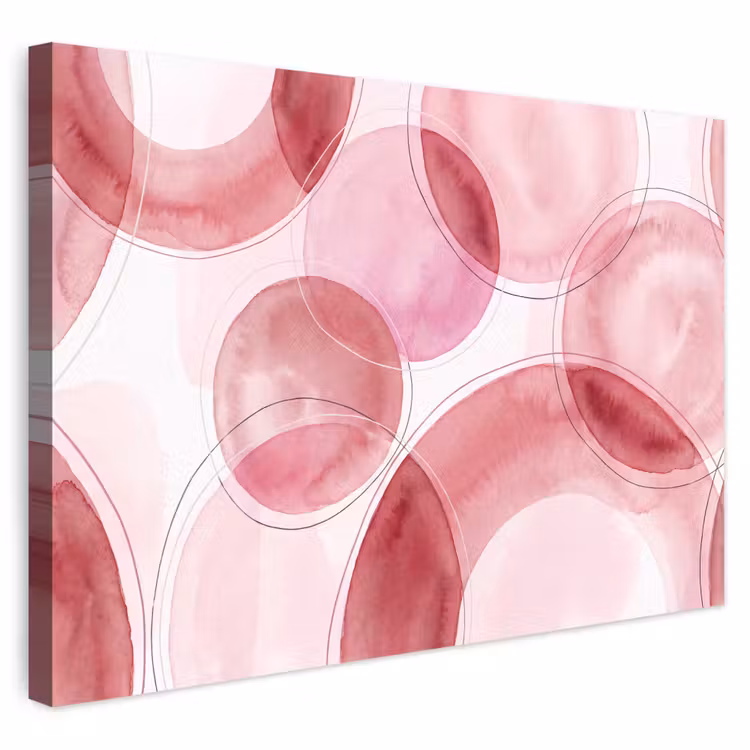 Abstract - Cirkels - Modern - Roze - Kunst Tuinposter op houten frame 2 cm dik klein -3d