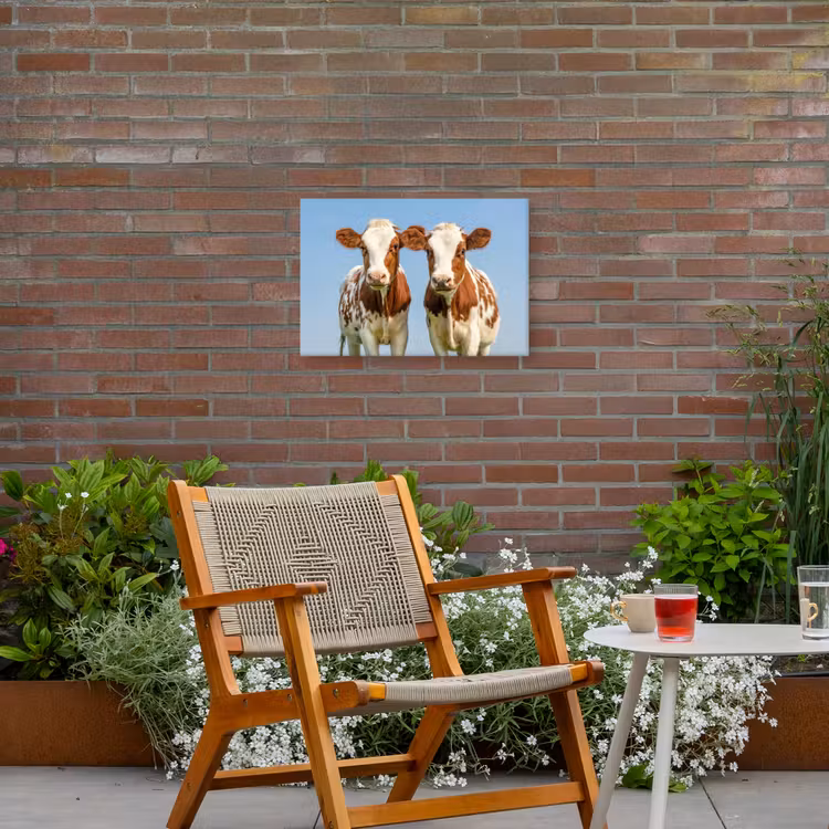 Twee kalveren in de weide Tuinposter op houten frame 2 cm dik klein -sfeer3