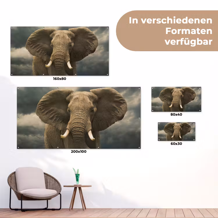 Afrikaanse olifant tegen de donkere wolken tuinposter los doek klein -Xsfeer9_DE