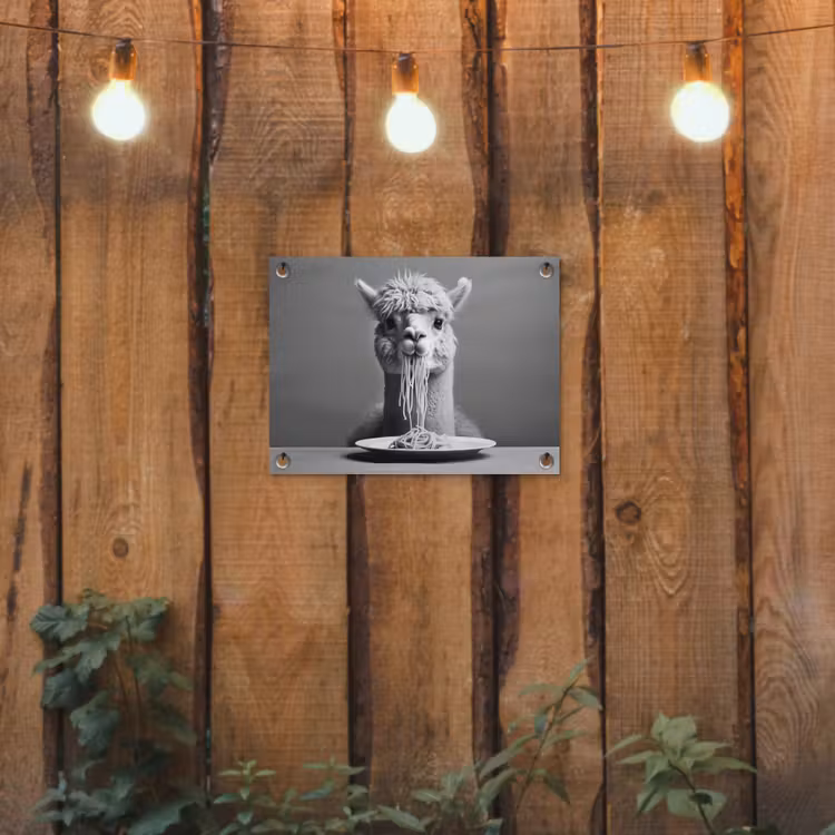 Alpaca - Pasta - Zwart - Wit - Grappig - Dieren tuinposter los doek klein -sfeer1