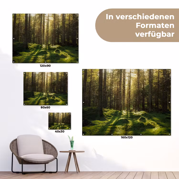 Bomen - Bos - Mos - Planten - Zon - Natuur tuinposter los doek klein -Xsfeer9_DE